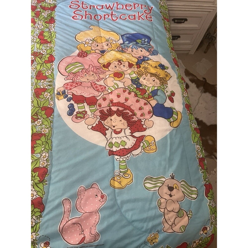 VTG 80's Strawberry Shortcake American Greetings Slumber Party Sleeping Bag